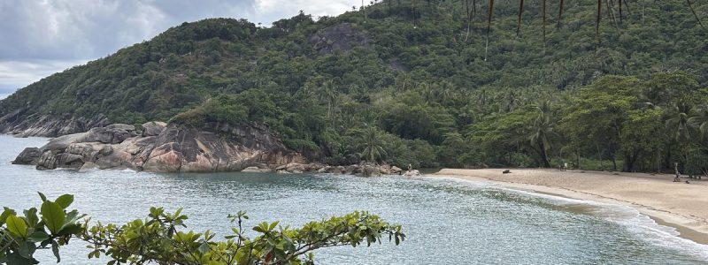 Rustig uitzicht over een baai met strand, palmbladeren en groene heuvels